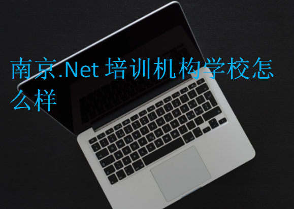 南京.Net培训机构学校怎么样