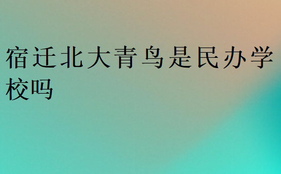 宿迁北大青鸟是民办学校吗