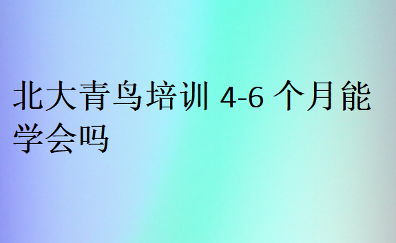 北大青鸟培训4-6个月能学会吗