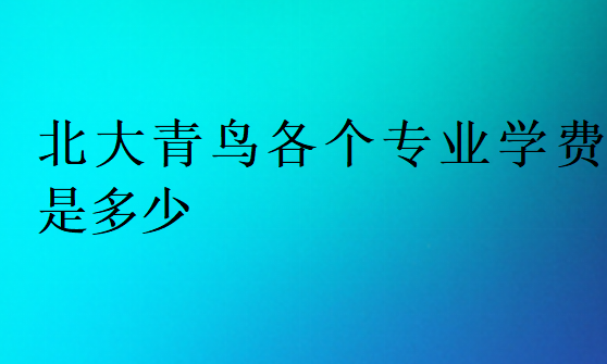 北大青鸟各个专业学费是多少