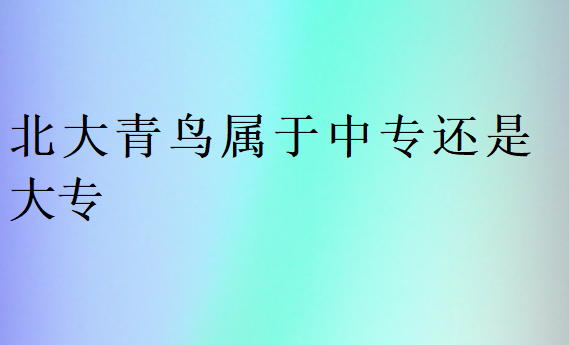 北大青鸟属于中专还是大专