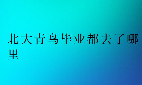 北大青鸟毕业都去了哪里