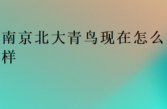 南京北大青鸟现在怎么样