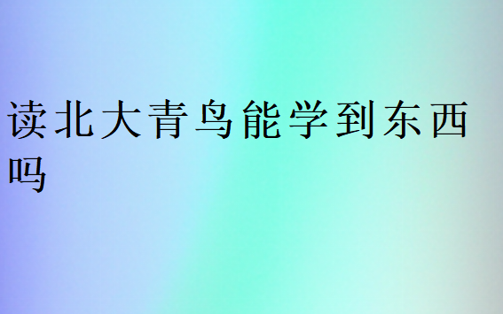 读北大青鸟能学到东西吗